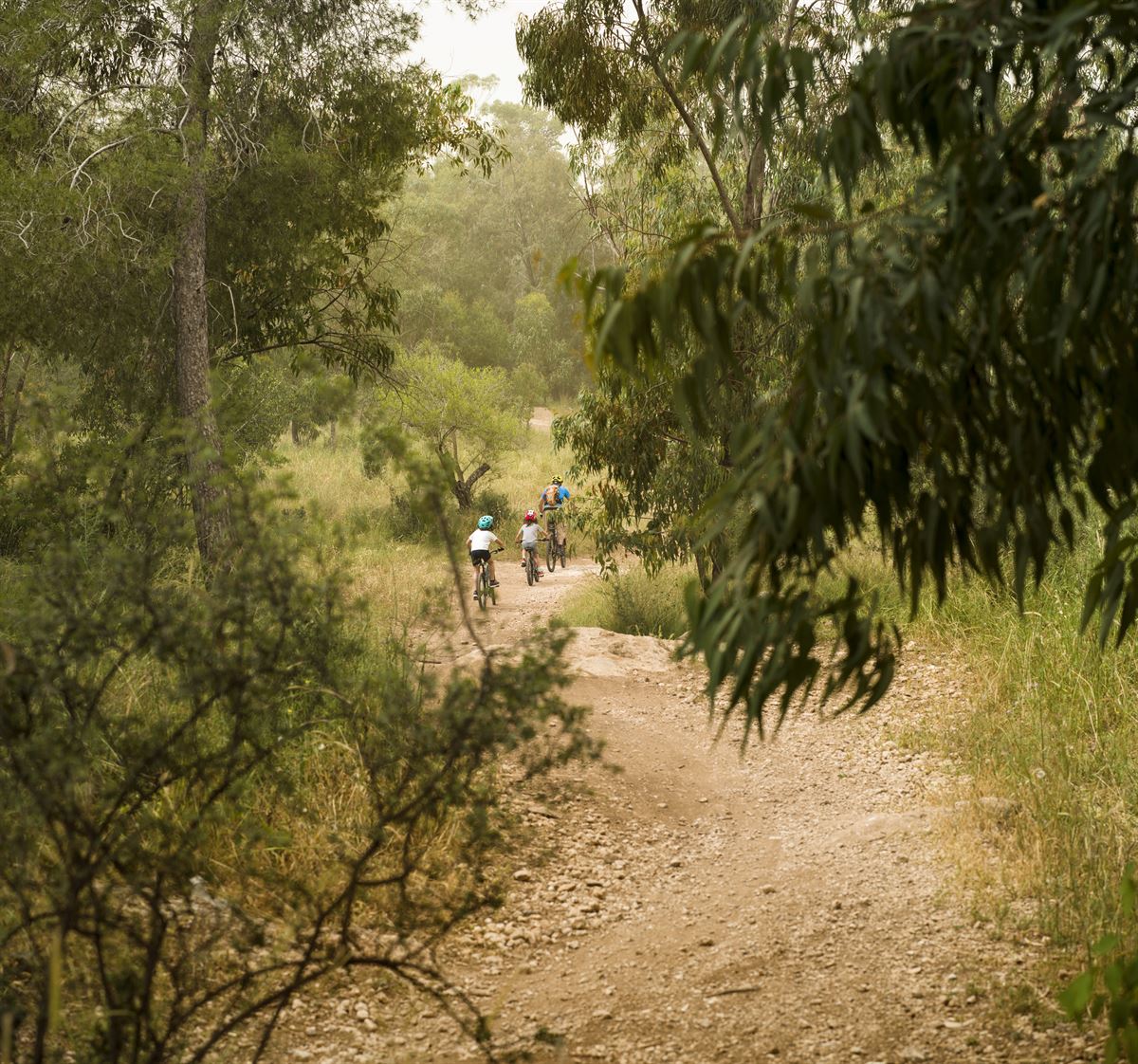 Challenging bike trail on the hillside above the neighborhood